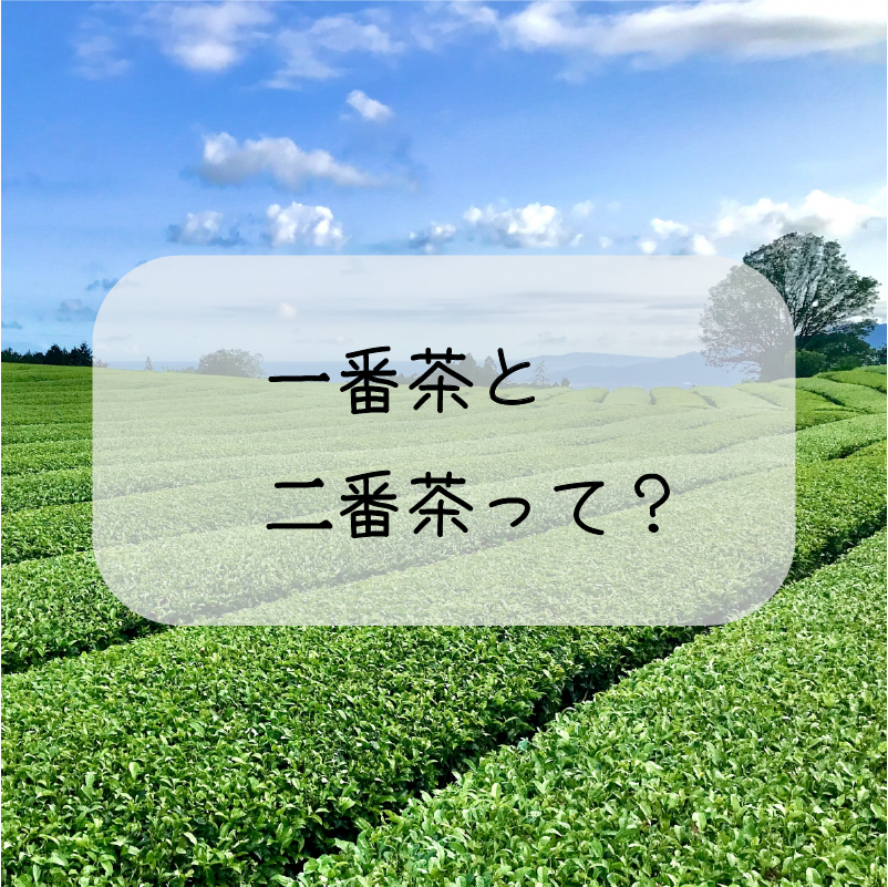 おすすめ_一番茶二番茶